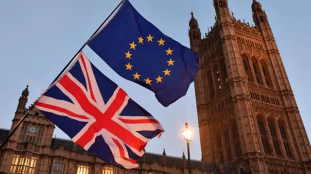 Flags outside Parliament