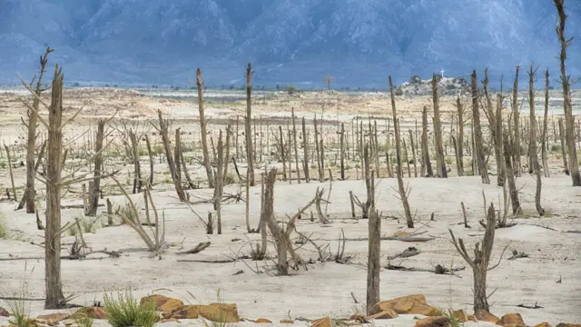 Dried landscape in South Africa's Cape Town amid a drought, 3 April 2018