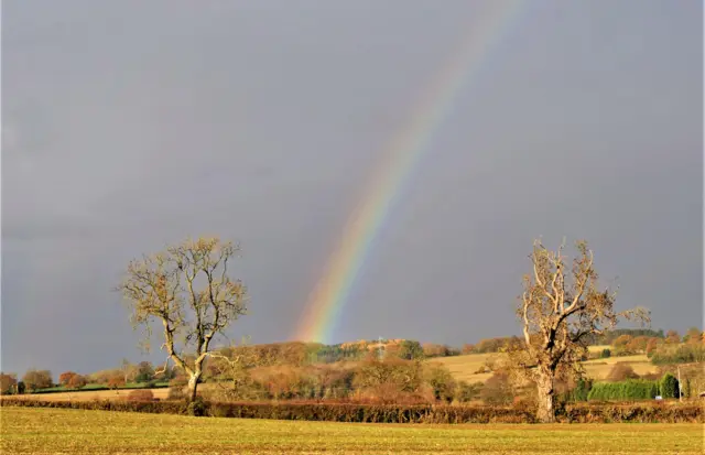 Rainbow