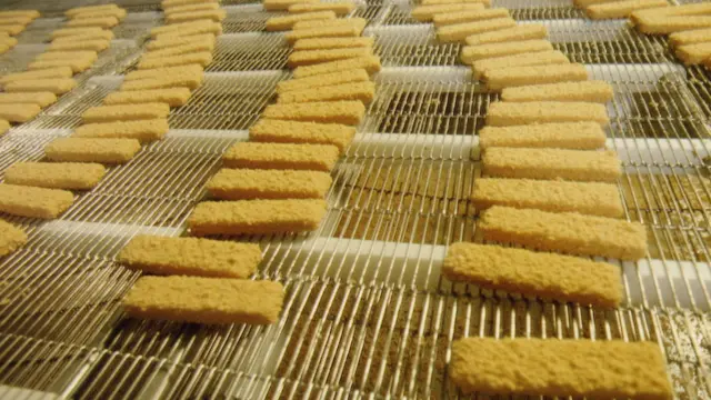 Fish fingers