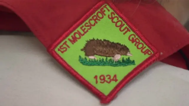 The logo for Molescroft Scouts