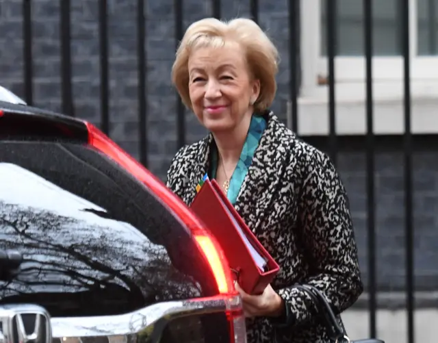 Leader of the House of Commons Andrea Leadsom