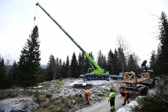 Tree in Oslo being cut