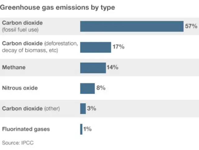 Greenhouse gas emission by type