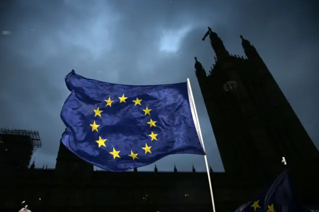 Parliament and EU flag