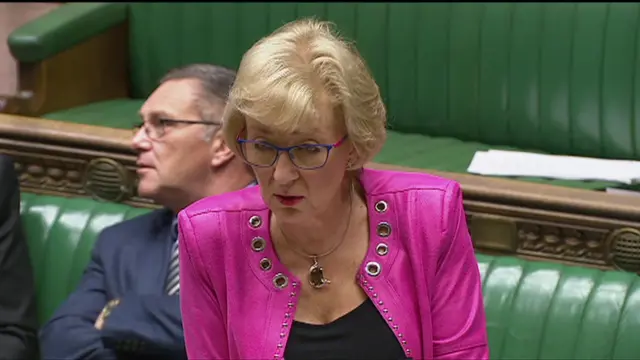 Andrea Leadsom