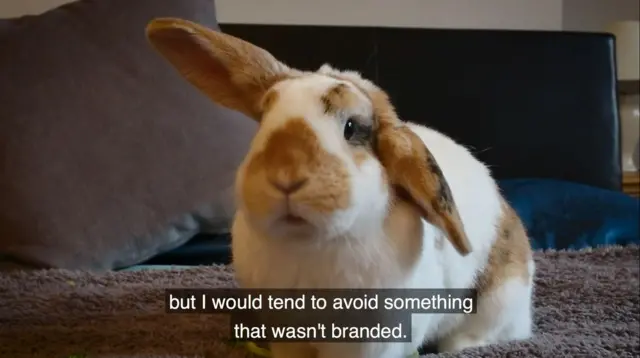 Animals talking about unbranded products