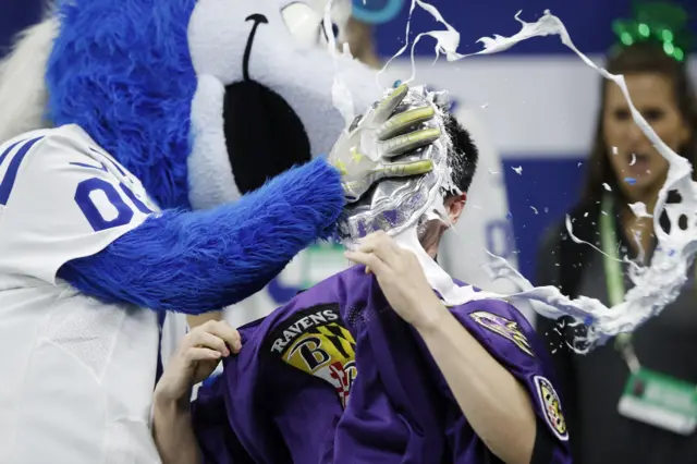 Baltimore Ravens fan gets a custard pie