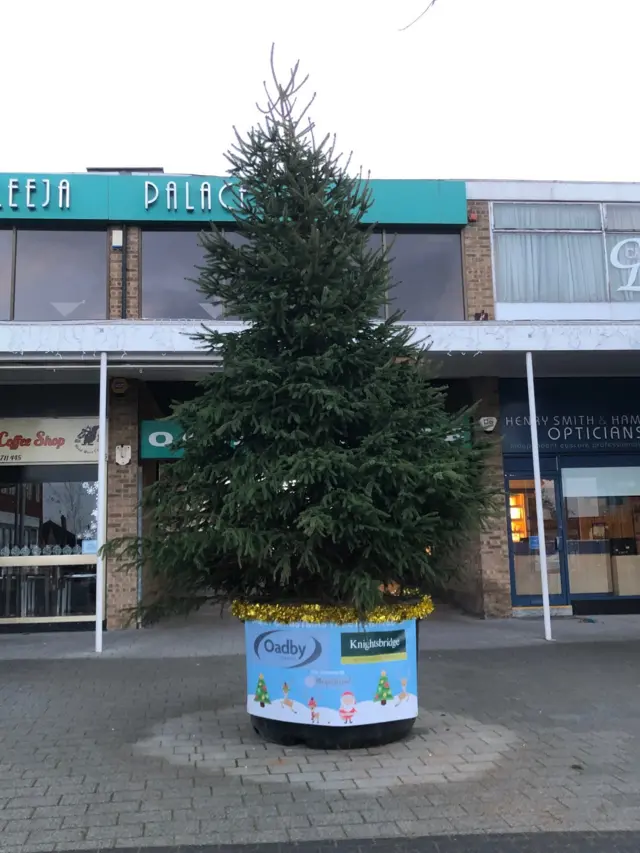 Oadby Christmas tree