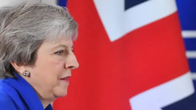 Theresa May in front of flag