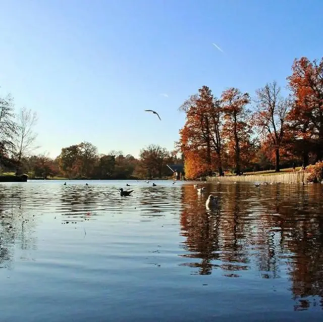 Dunorlan Park in Tunbridge Wells