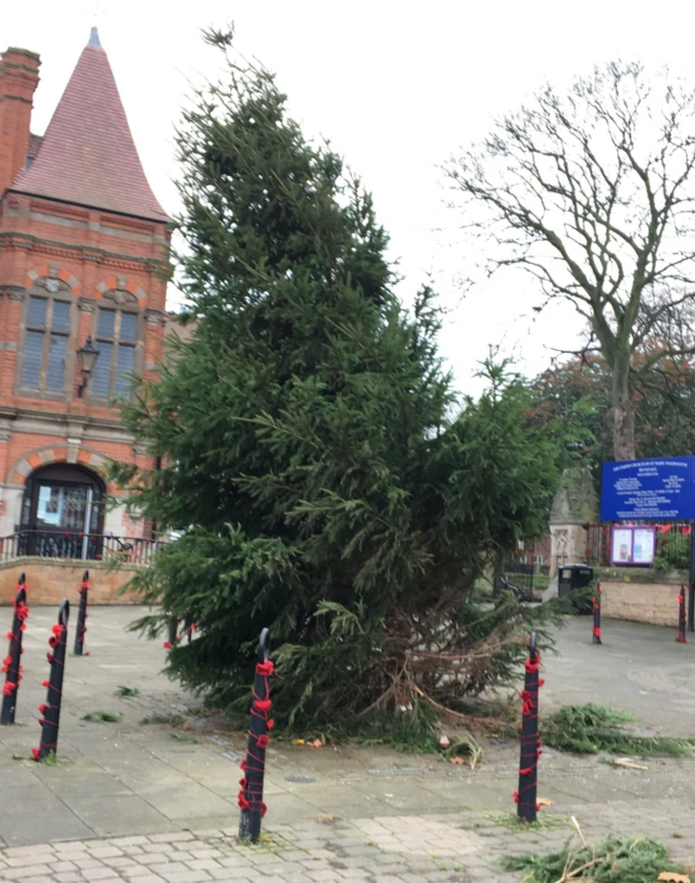 Damaged Christmas tree