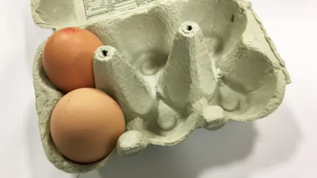 Eggs