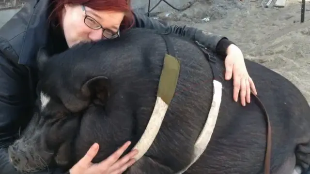 Liane Scholz with pet pig