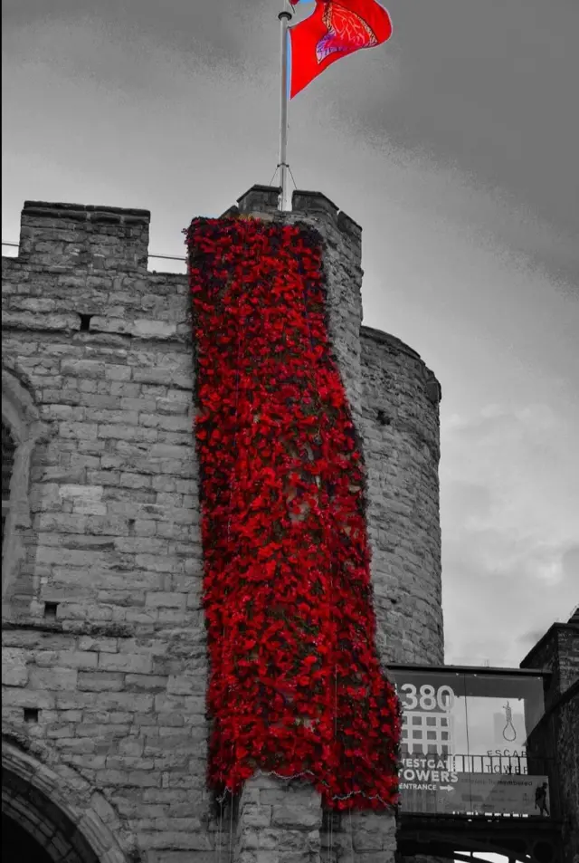 Cascade of poppies at Westgate Towers in Canterbury