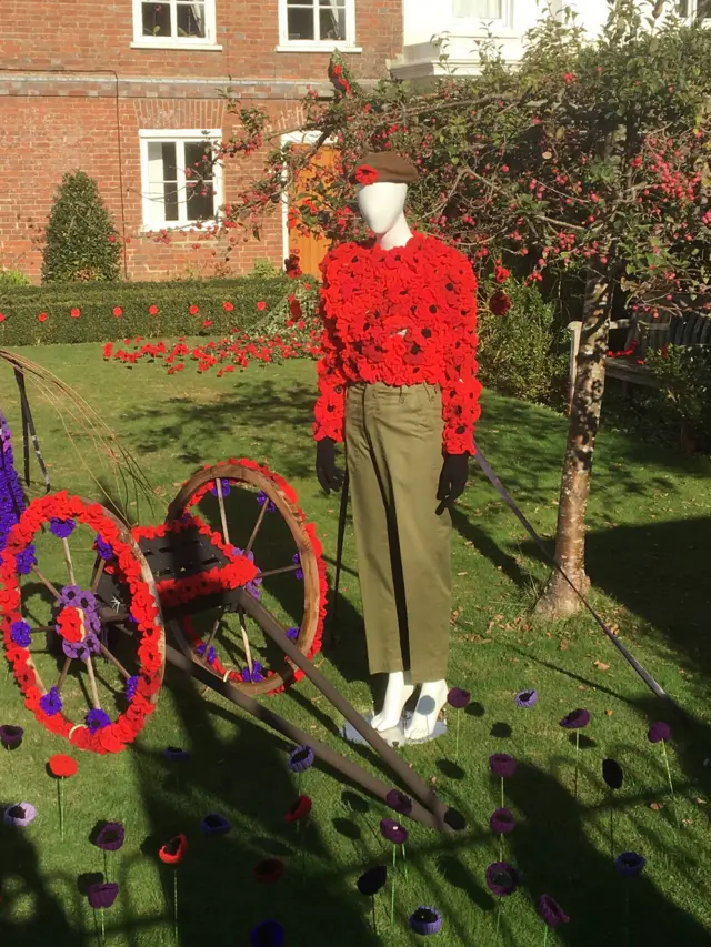 A display of poppies in Hawkhurst