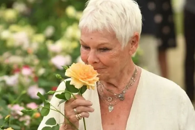 Dame Judi Dench