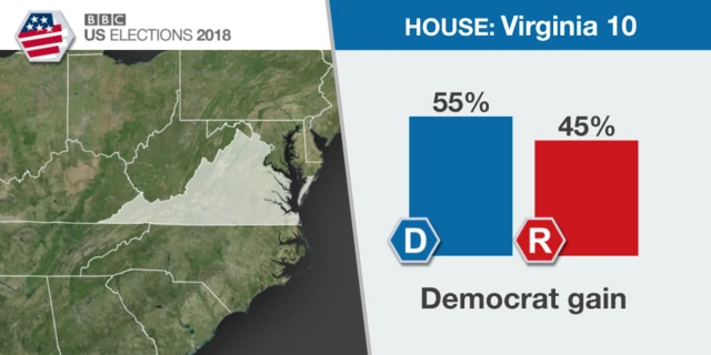 Graph showing Democrat with 55% and Republican with 45% of votes