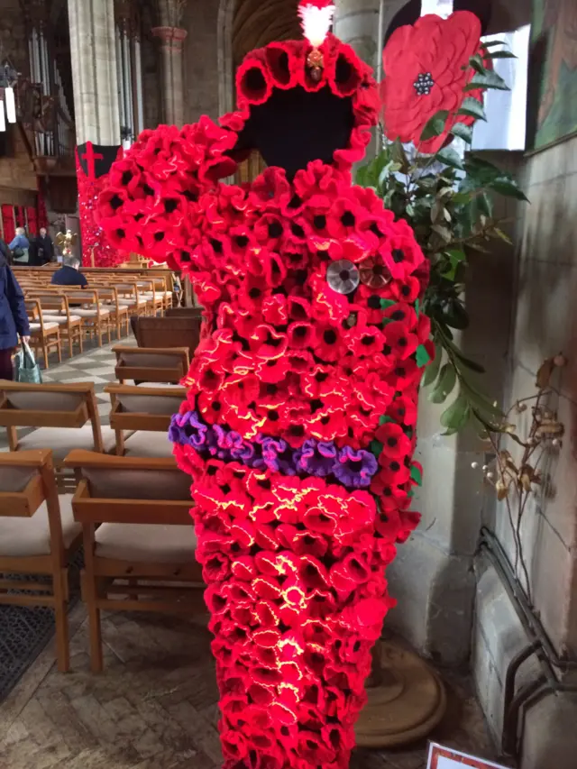 Poppies display