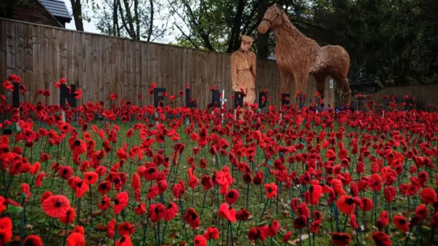 Poppies in Nunthorpe