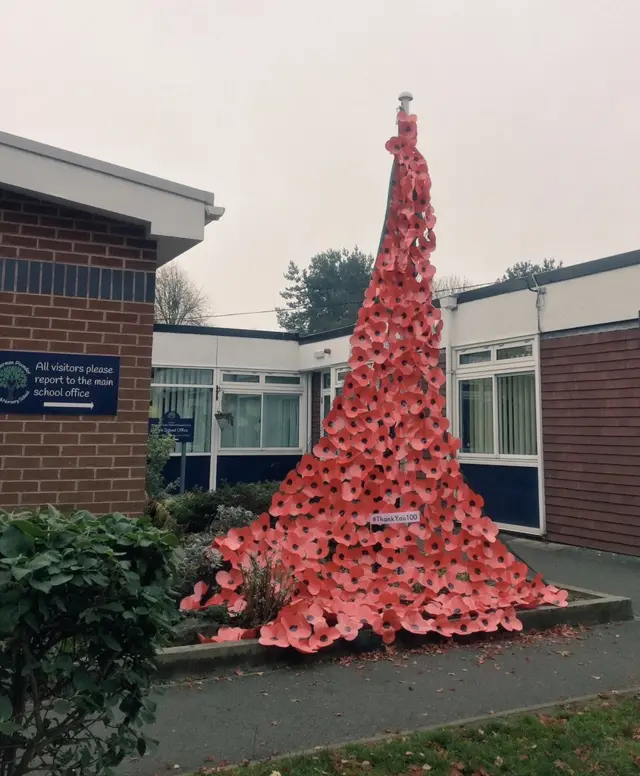 Poppy cascade at Alderman Pounder Infant and Nursery School