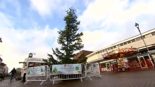 One of Cannock's trees ahead of the switch on