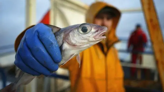 Fisherman holding fish to camera