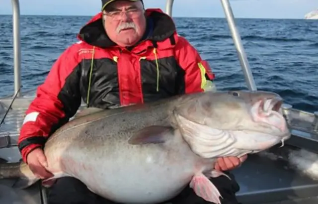 A big cod caught by Bert Williams