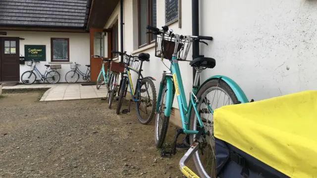 Bikes at polling station