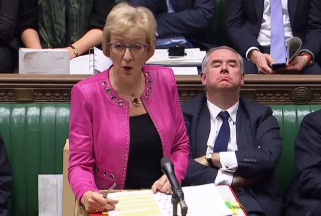 Andrea Leadsom