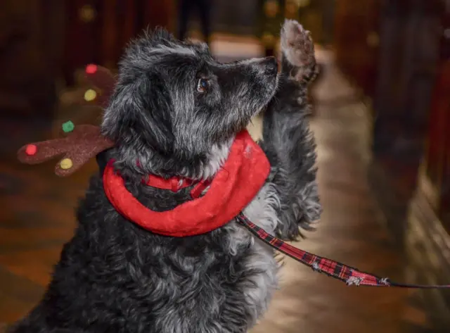 Totnes Christmas service