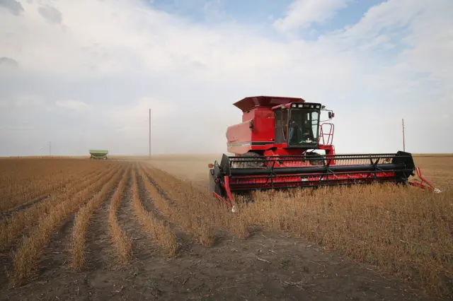 US soybeans being harvested