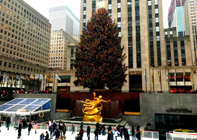 Rockerfeller tree