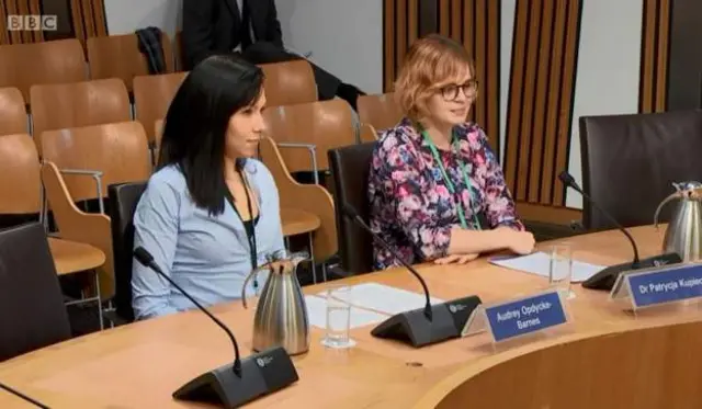 The Young Women Lead Committee gave evidence to MSPs last week on sexual harassment in schools