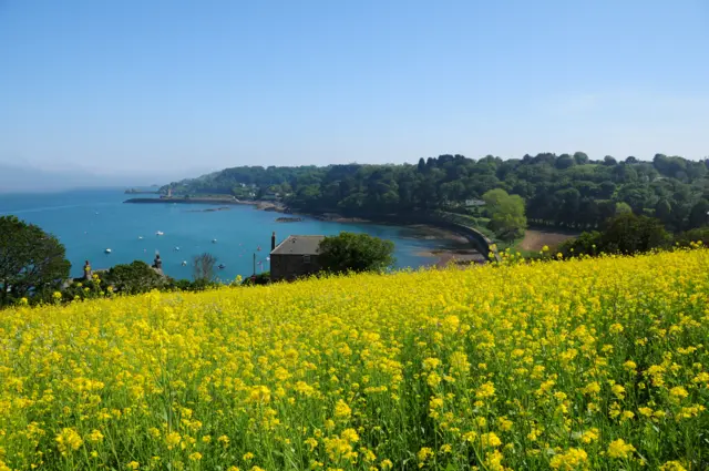 Anne Port, Jersey, stock image