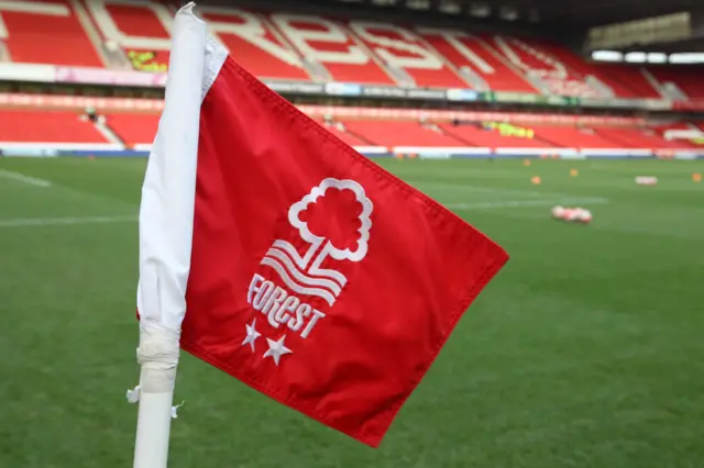 Nottingham Forest flag