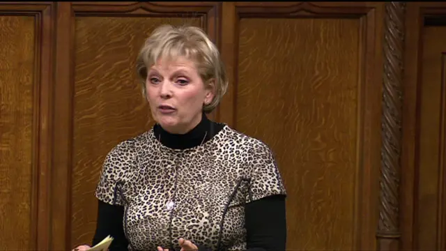 Anna Soubry