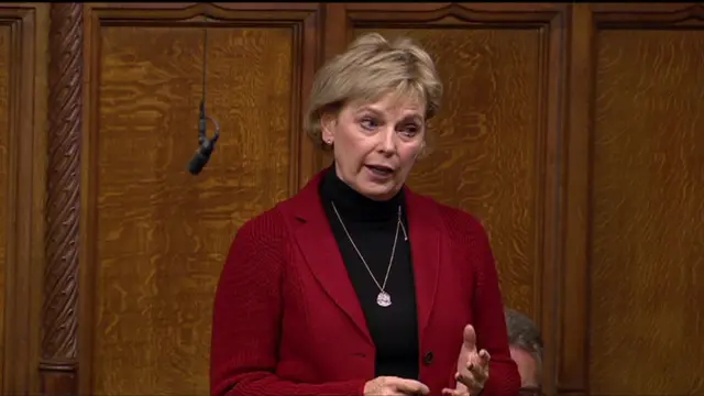 Anna Soubry