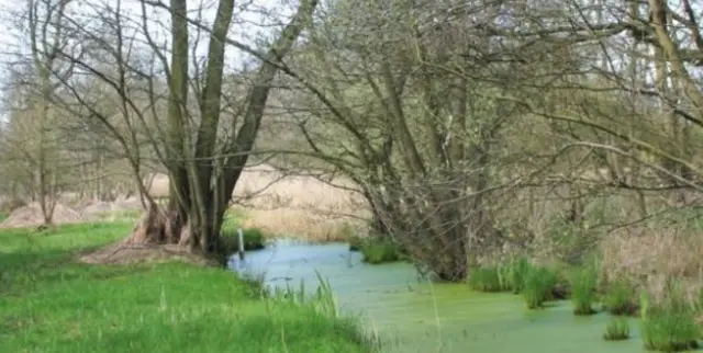 Askham Bog