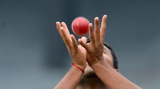 A person catches a cricket ball