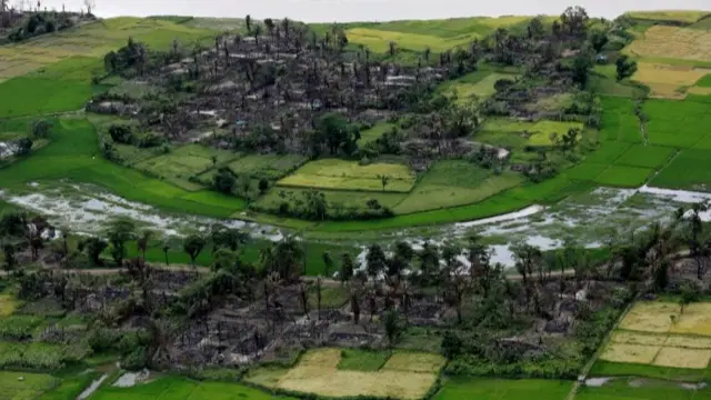 Burned Rohingya village