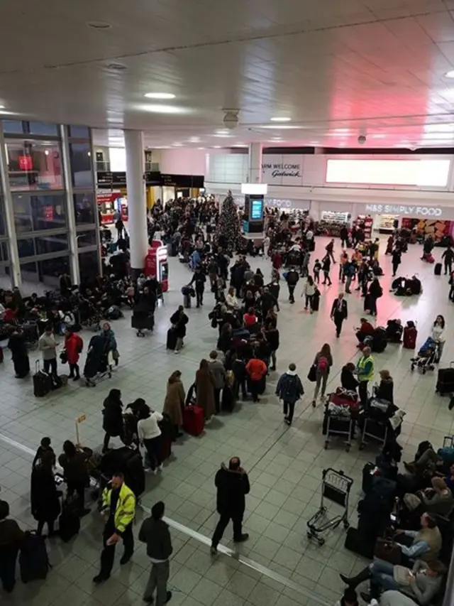 Stranded passengers form a queue at Gatwick