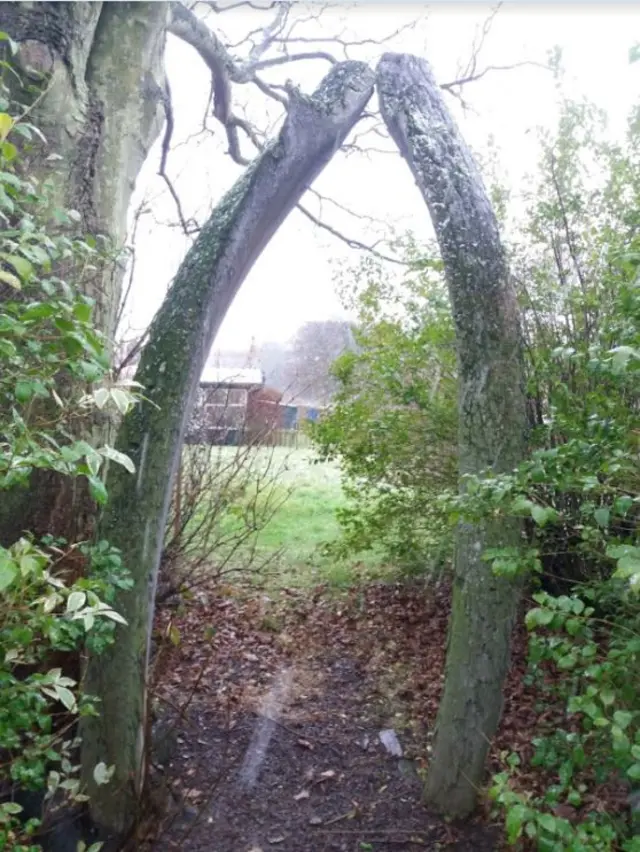 The whalebones that have gone missing from the grounds of Seahouses First School