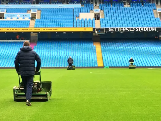 Etihad pitch