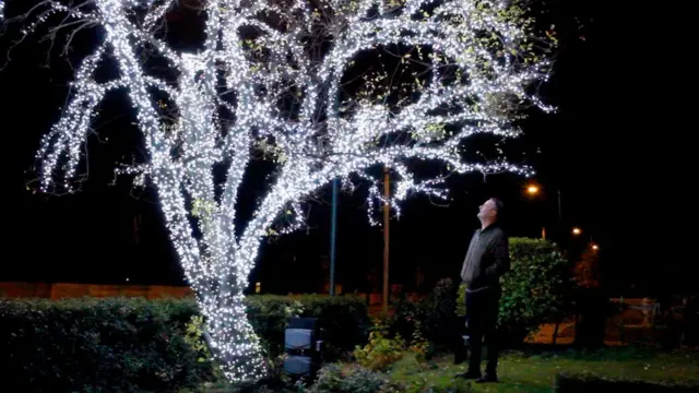 Andy Black and his tree