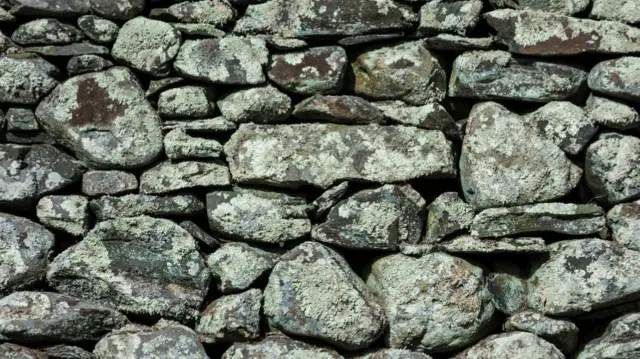 Wall