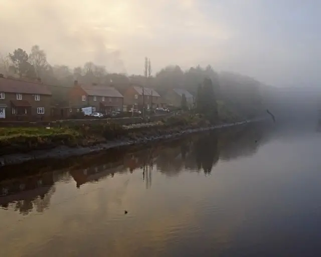 Mist at Washington