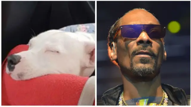 Snoop and Snoop