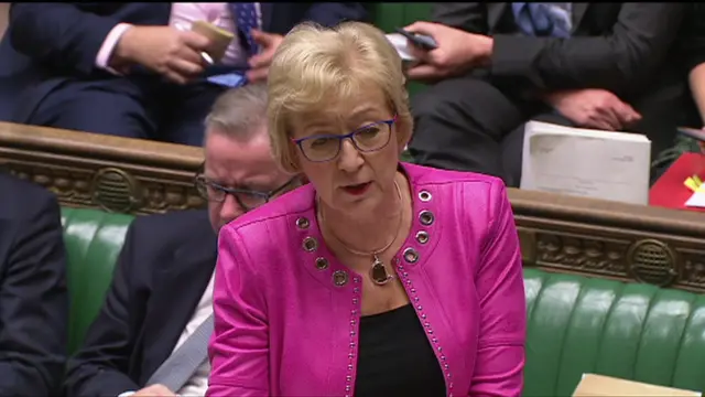 Leader of the House Andrea Leadsom