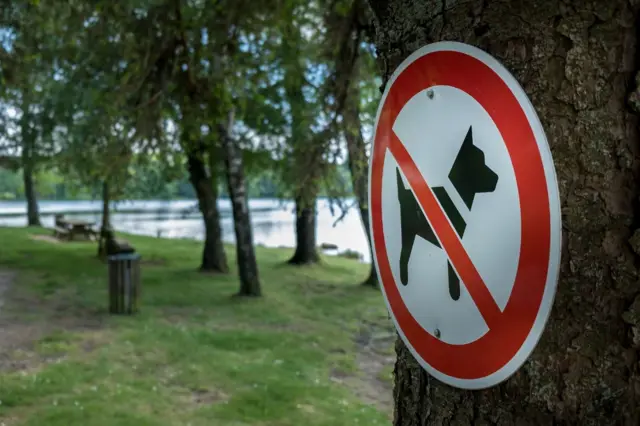 Dog mess warning sign